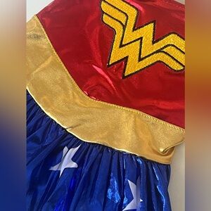 Dog Costume - Red, Gold, Blue